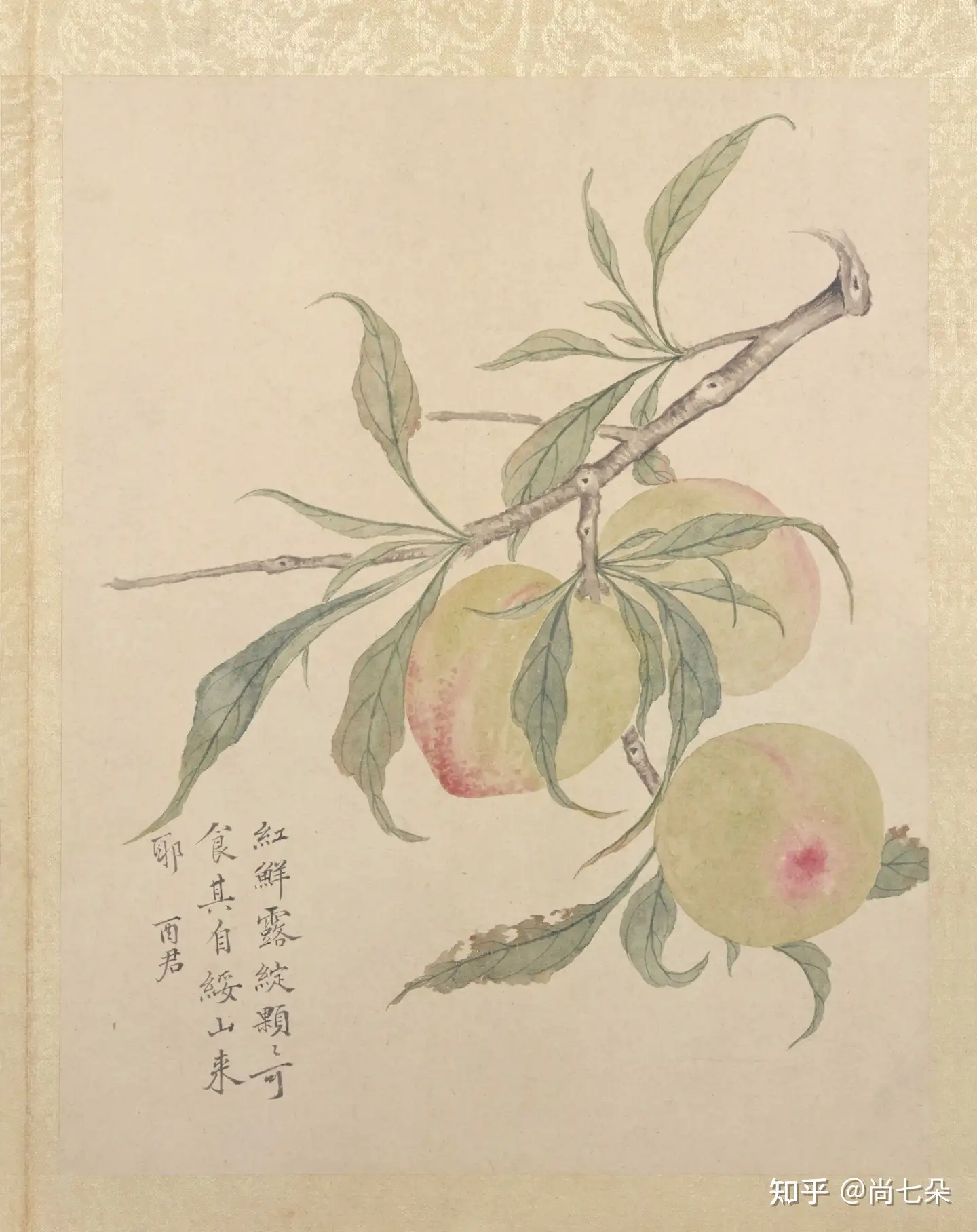 蒋廷锡（款） 花卉四屏立轴模写中国絵画-