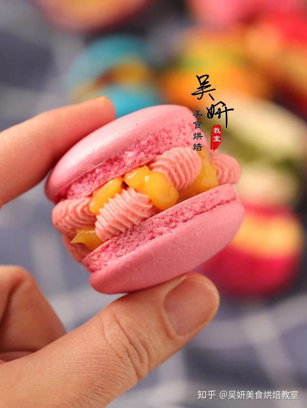 卡通马卡龙 知乎