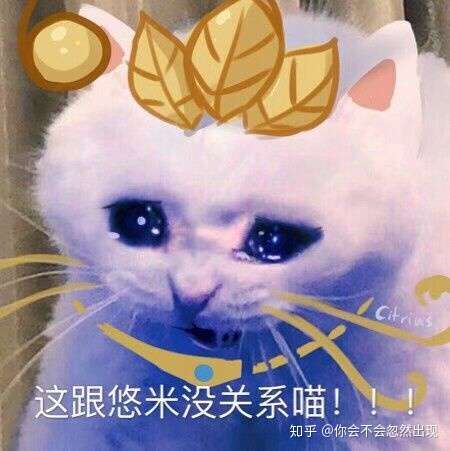 lol魔法猫咪游戏内表情图片