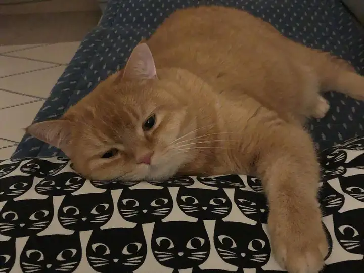 学到了（适合心情不好的时候发朋友圈的句子）心情不好发朋友圈的短句文案，适合心情不好发的朋友圈句子，看完真的很想哭！，杨志刚主演的电视剧有哪些，