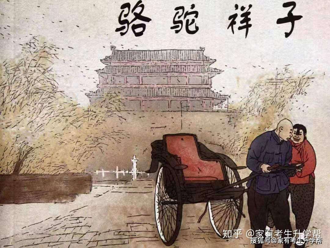 透过老舍 骆驼祥子 经典文学作品 从骆驼祥子到网约车 100年来的变与不变 知乎