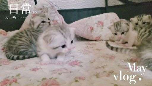 v2-503b6bf25c1f87133abdb2b9046509fc_bh.jpg?source=1940ef5c