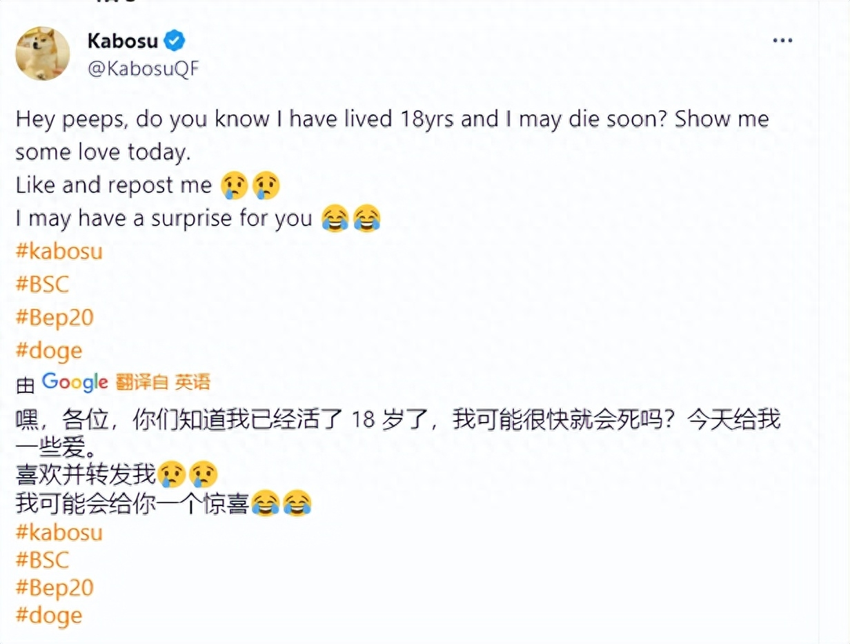 kabosu雕像将于1… - 知乎