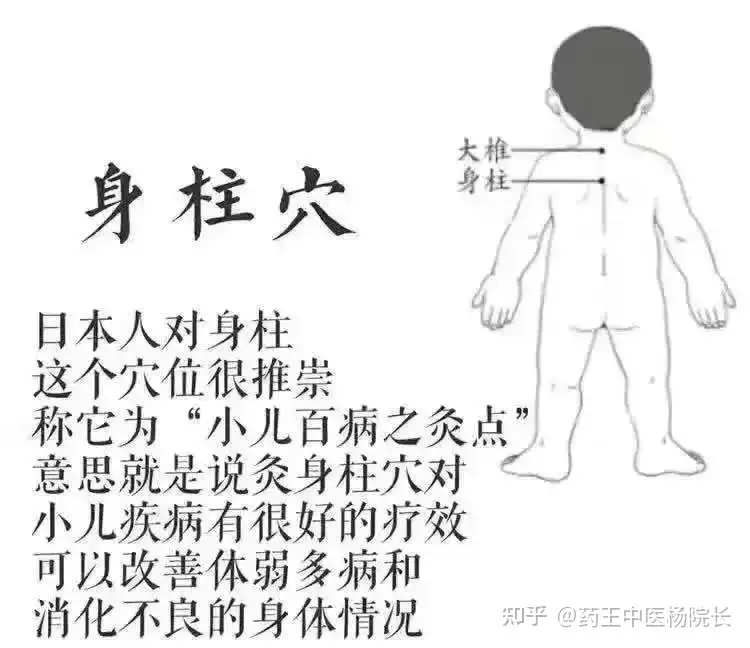 针灸二十八绝穴，治疗各种疼痛疾病- 知乎