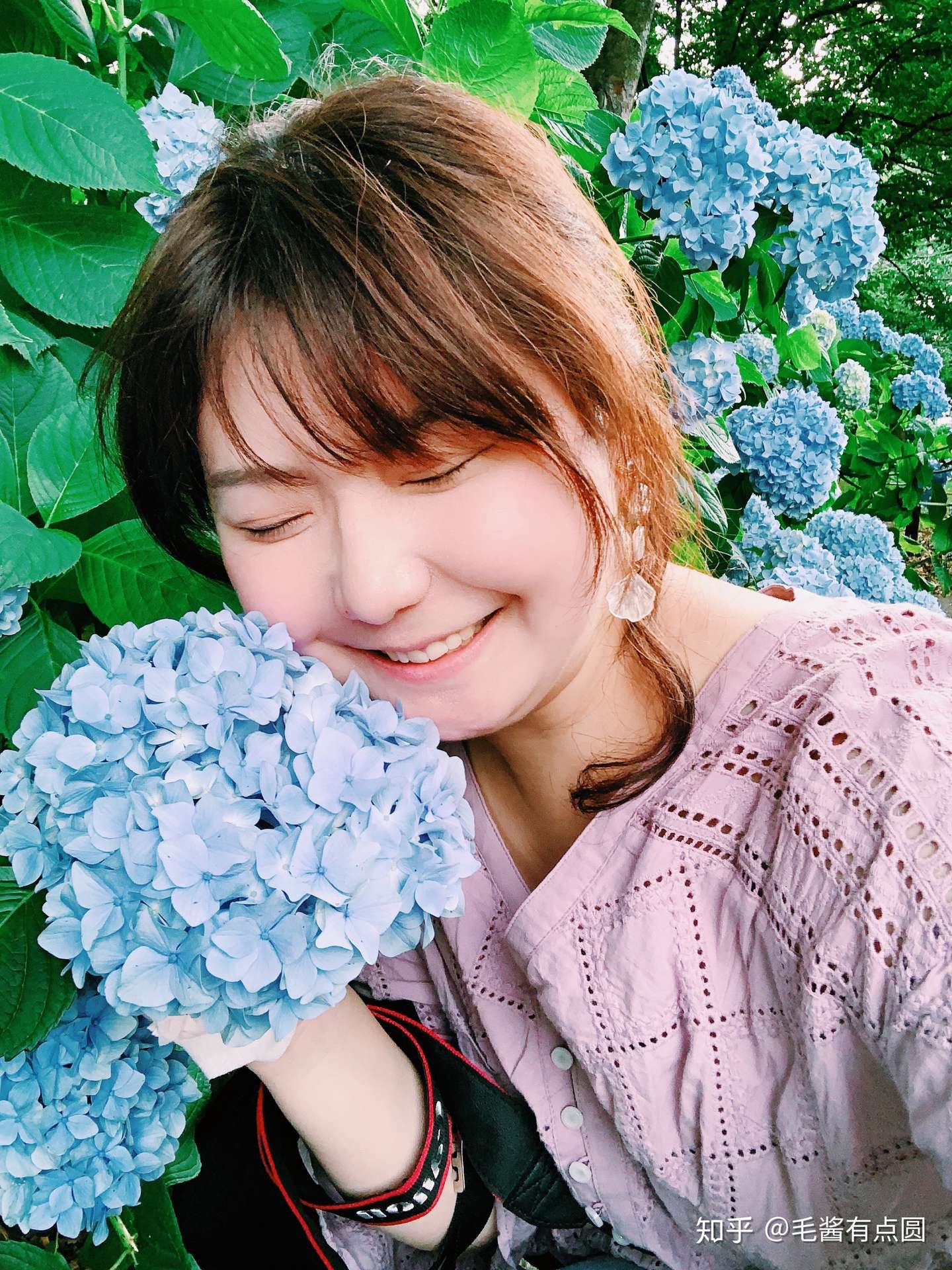 东京小众紫阳花 绣球花观赏地点 知乎 东京小众紫阳花 绣球花观赏地点 知乎