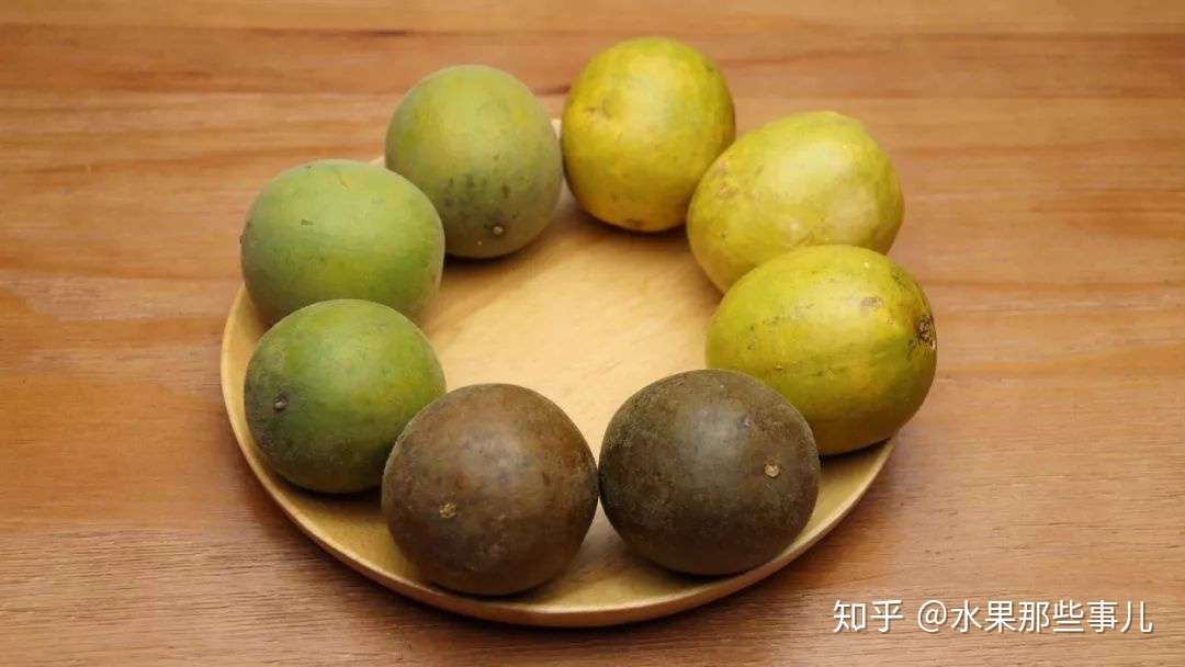 甜度是蔗糖300倍的罗汉果 你们品尝过它吗 知乎