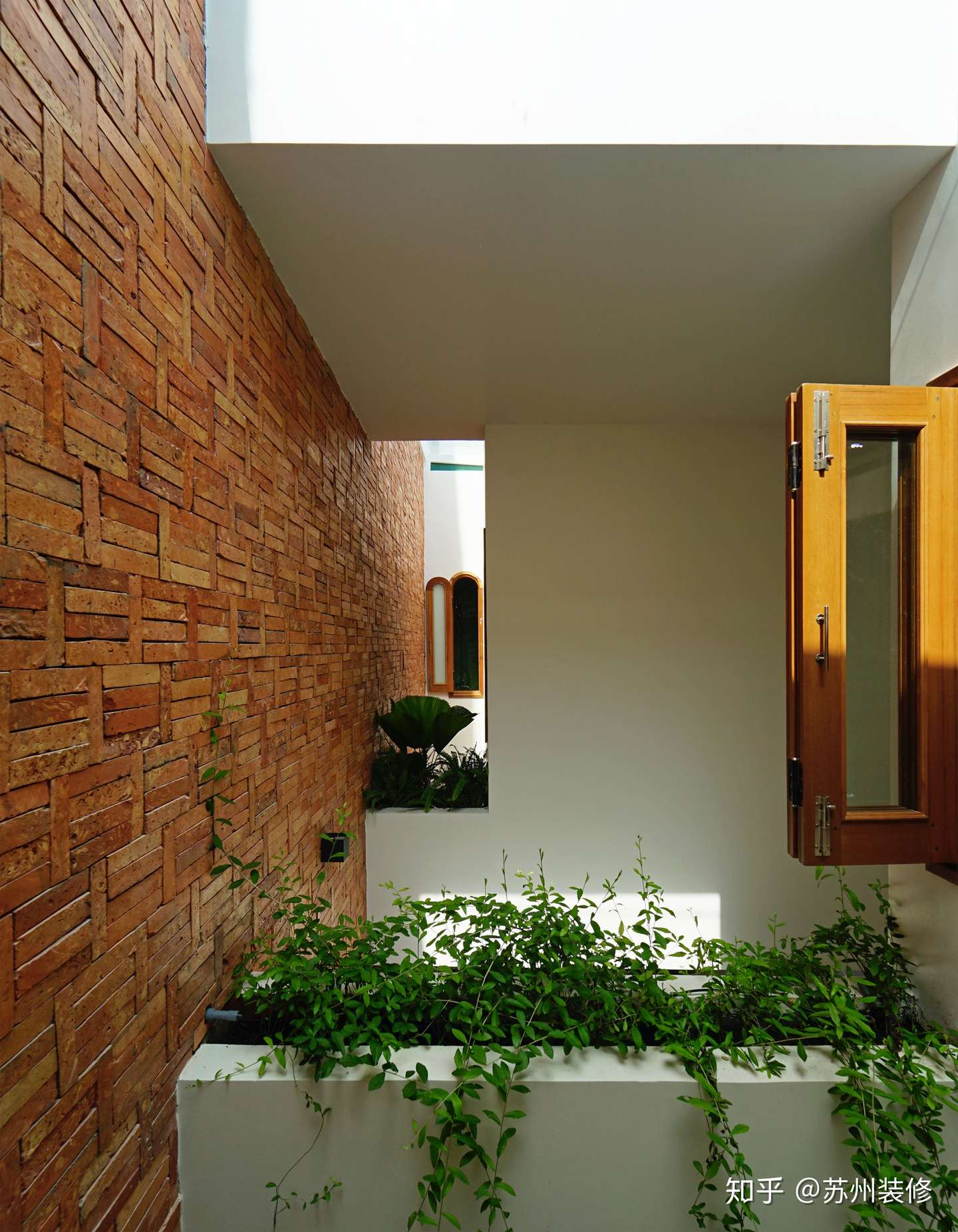 她住128 的联排别墅 家里3处天井 满眼绿色 像个植物园 知乎