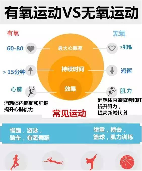 有氧运动与无氧运动 哪个更能减肥 知乎