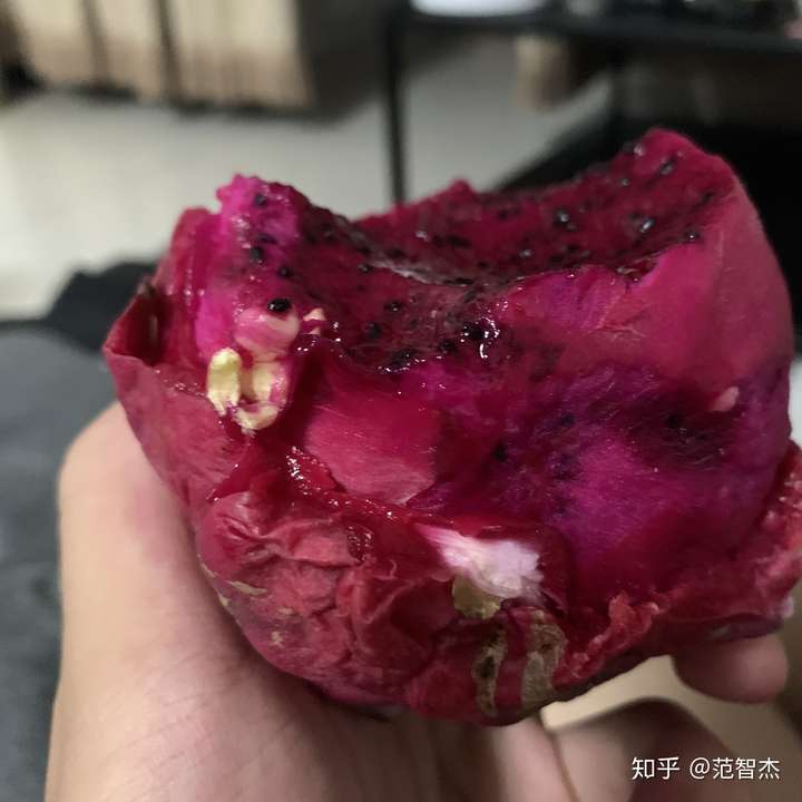 红色颗粒硬硬状虫卵图片