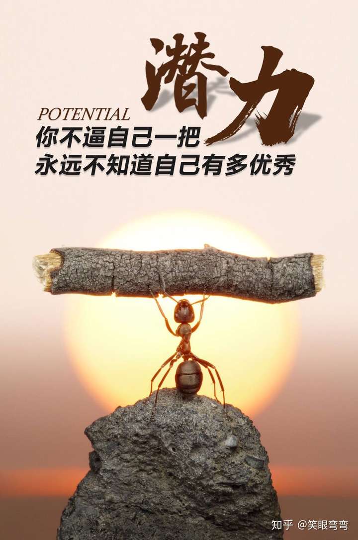 为什么都没有人喜欢我,哪怕我努力去提升成绩,努力减肥,努力去学着