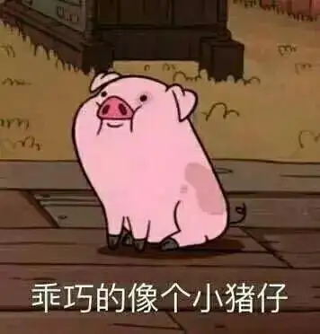 吐血整理|留学类网站大集合