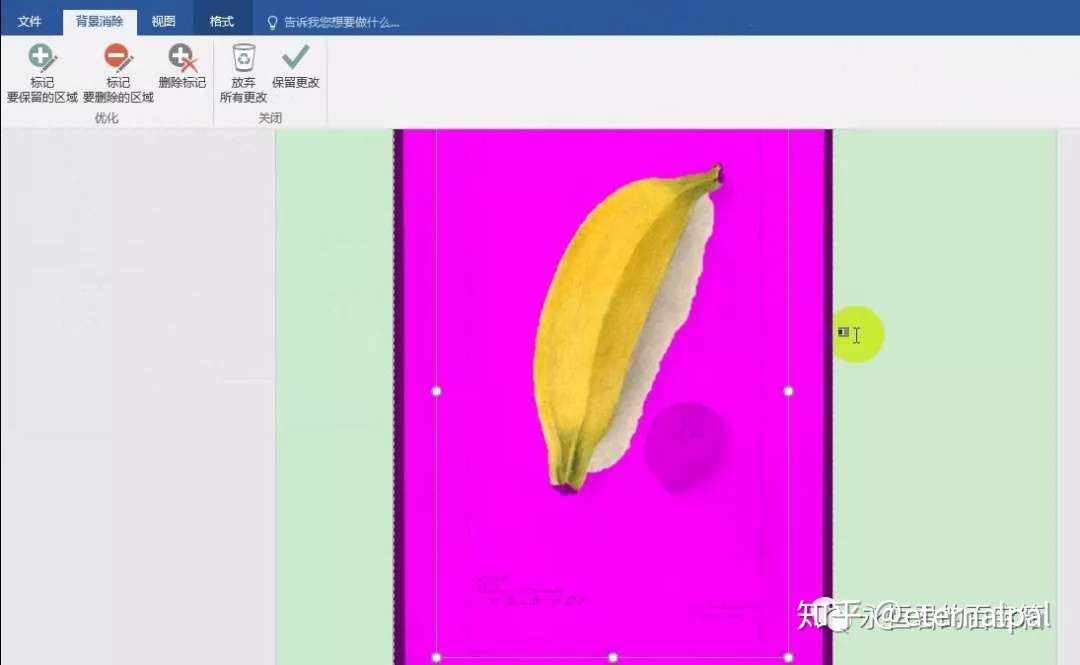 教你用word一键自动去除图片背景- 知乎