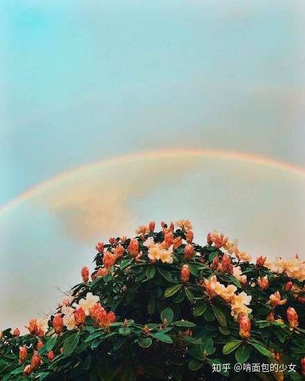 朱生豪先生情话经典语录第二弹 知乎