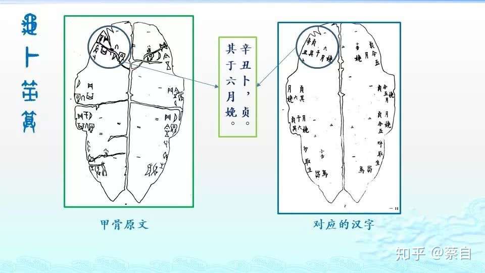 大猜想 商周时代的龟卜和筮算是怎样操作的 知乎