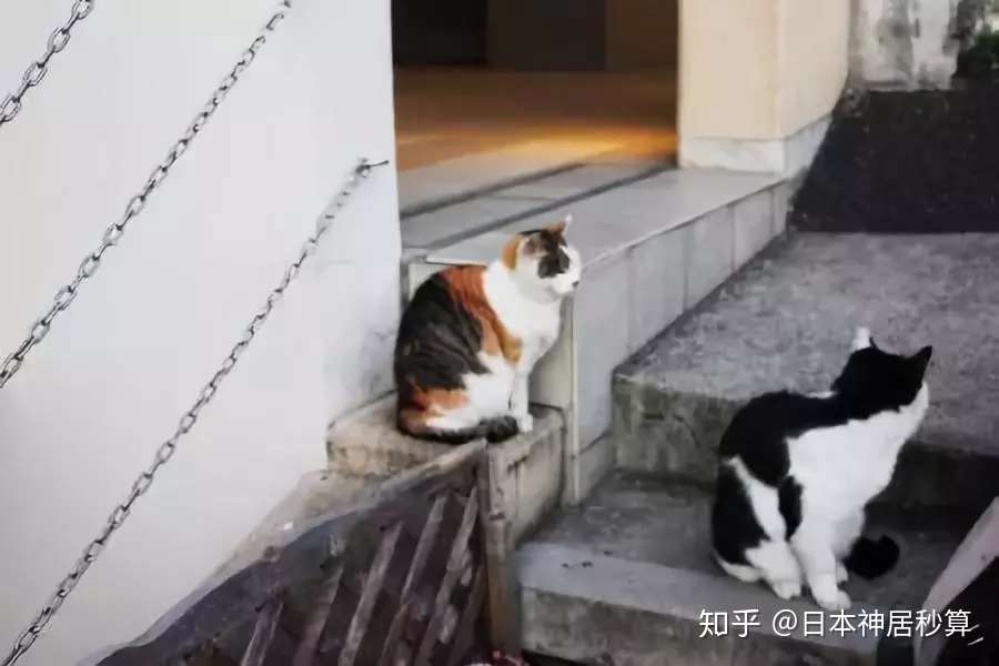 日本东京有哪些好玩的 给你一份接地气的攻略 知乎