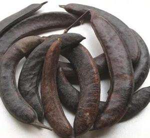 邢台信都 的想法: 皂角 | #荒野会谈我有话说 皂角是一味常… - 知乎