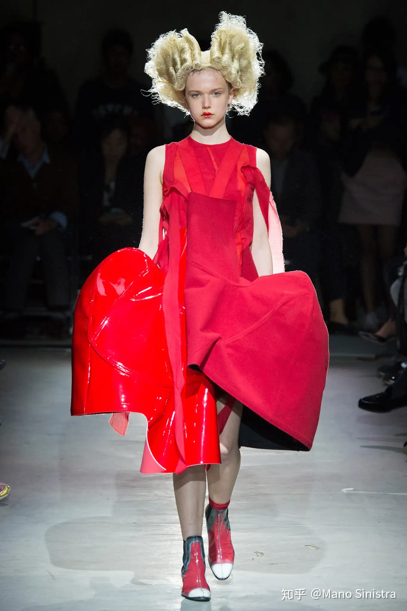 Comme des Garcons 2015 SS Roses and Blood - 知乎