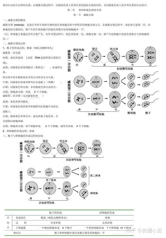 高考复习 生物是80 理科生都不想学的科目 学霸是怎么学好的 知乎