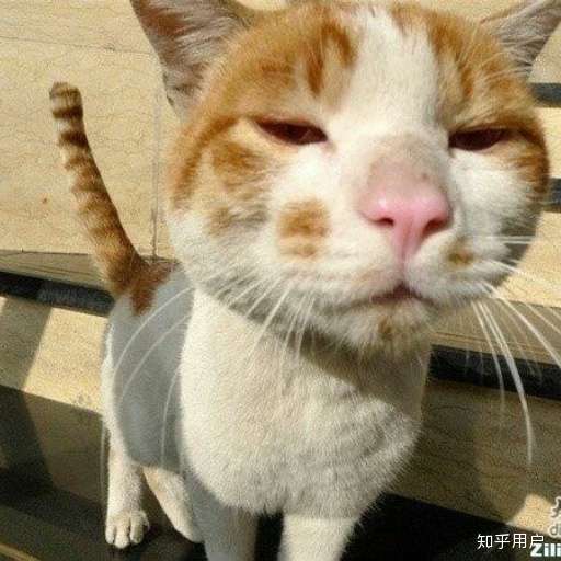 如何看待金晨发博为张歆艺庆生的那张华晨宇抽烟的照片?