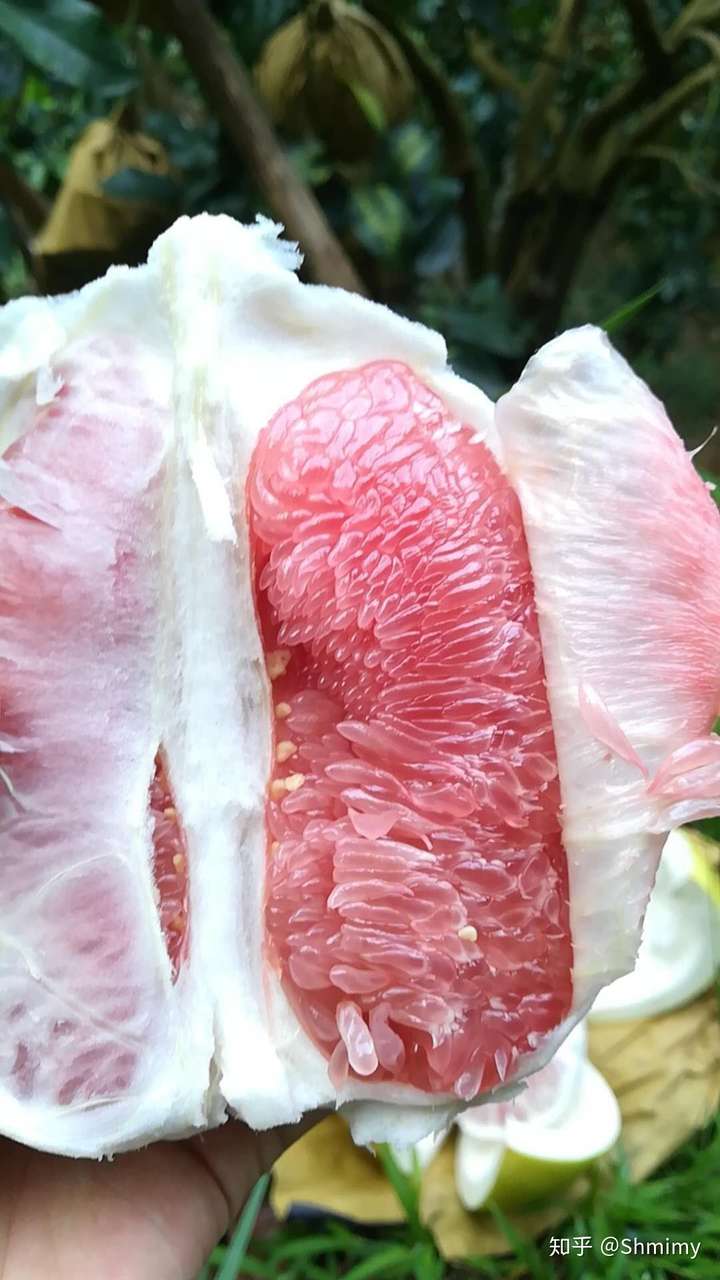 广西蜜柚上市啦酸酸甜甜汁饱脆嫩定制礼盒包装中秋节送礼佳品