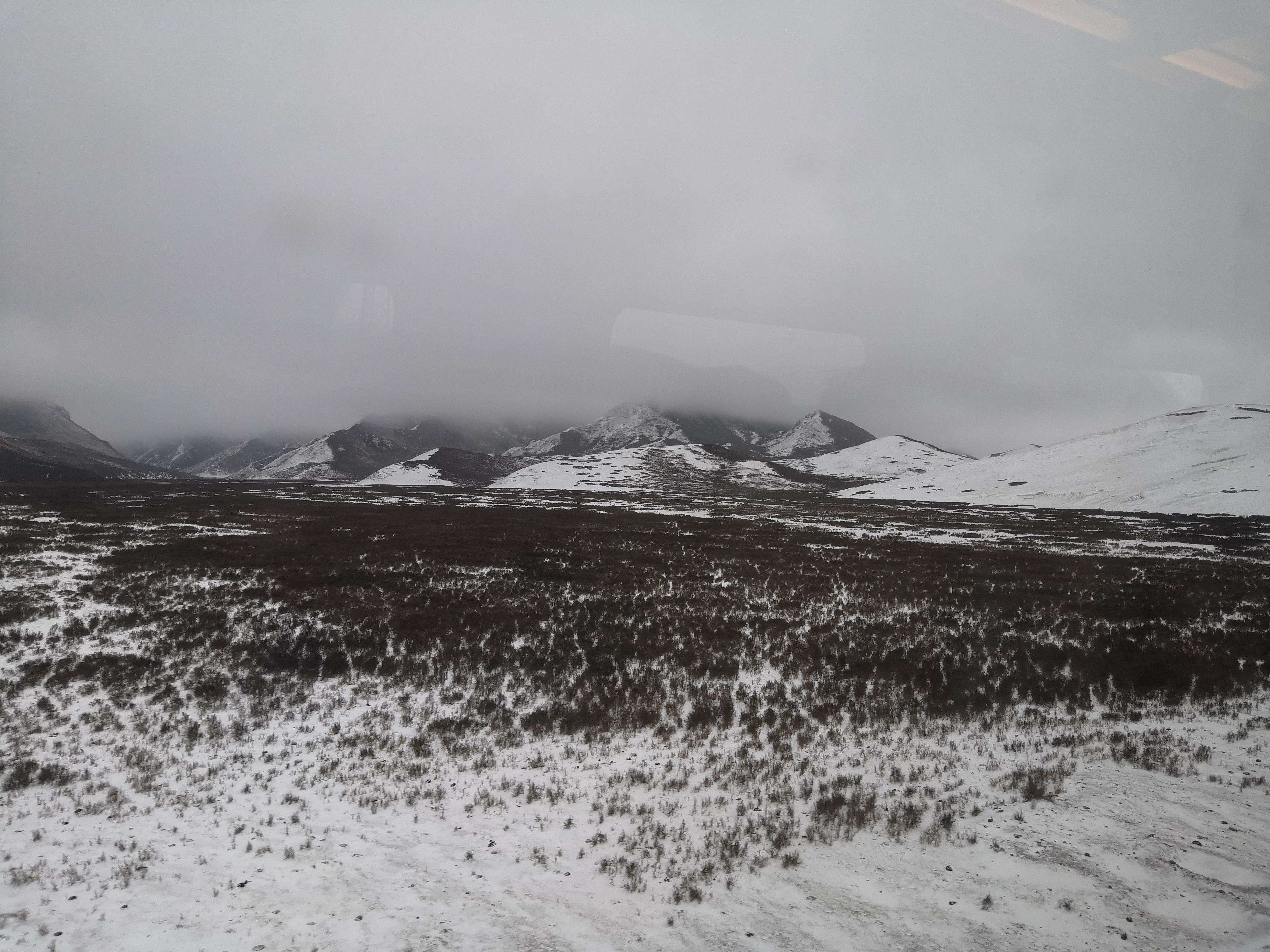 白驼山李药师 - 知乎