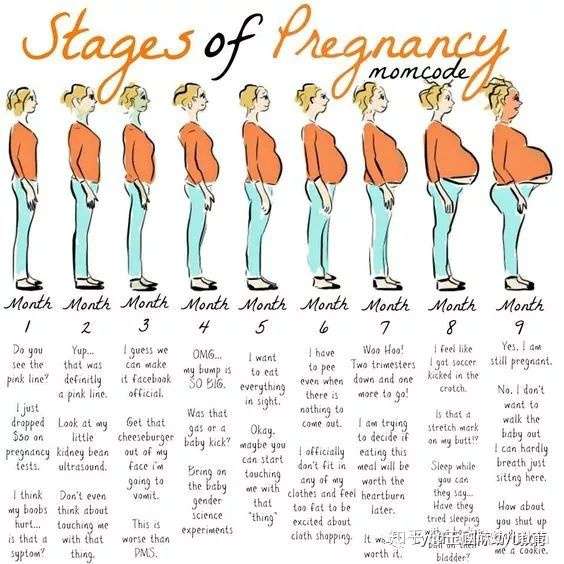 我的孕期记录 2 满满能量的孕中期 知乎