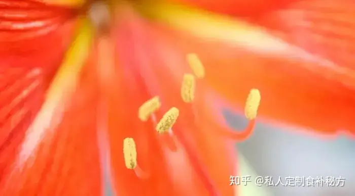 真相 花粉过敏的 元凶 不是花 竟然都是它惹的祸 知乎