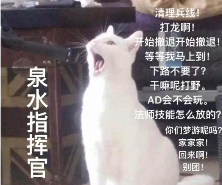 中路法师坐阵，下路主教是爹，我把塔防游戏玩成了一场MOBA!