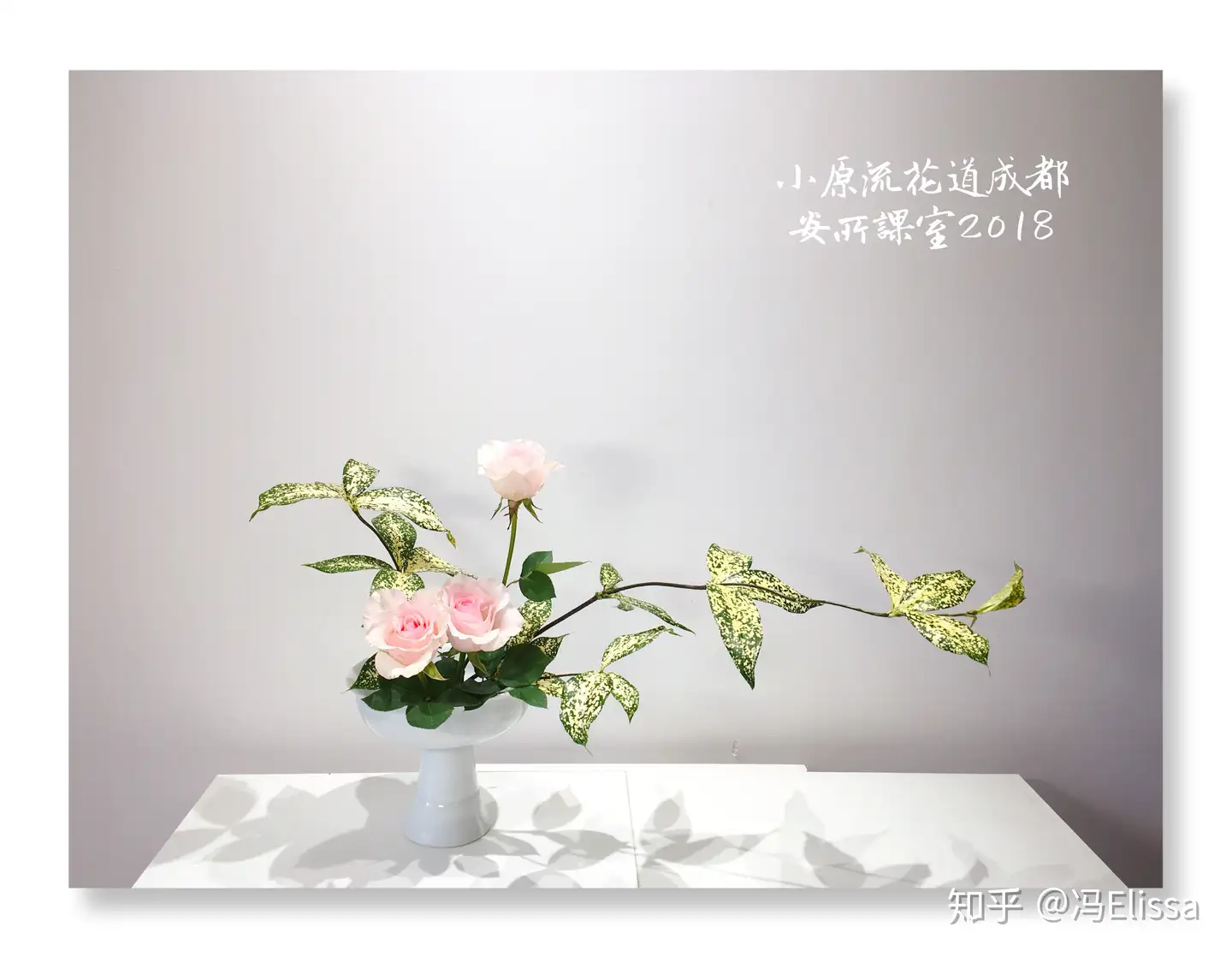 税込?送料無料 【】 盛花百選 小原流創流100周年記念 生花 植物 花 美 