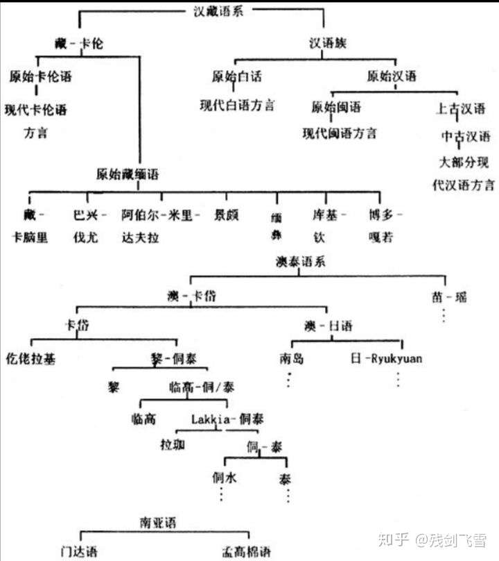 汇总 一些知识 关于闪米特人 知乎