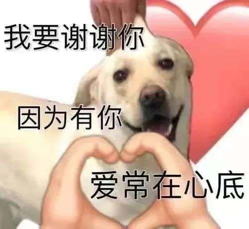 ͼƬ´ڴ򿪲鿴
