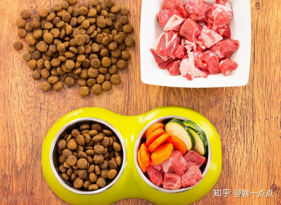 拉布拉多犬适合吃猪肉吗 有什么影响 知乎