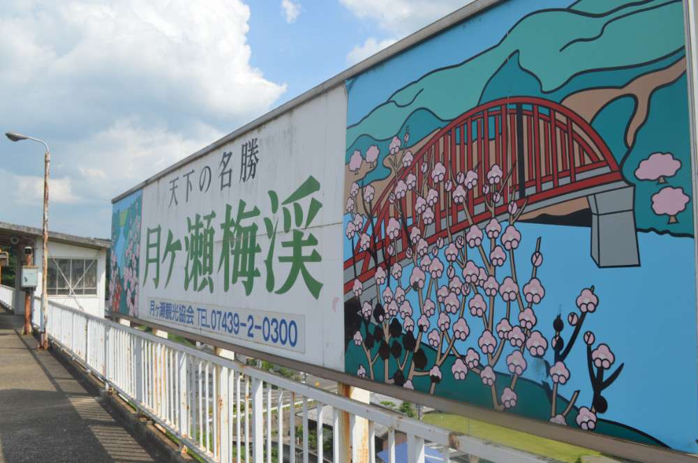 茶游记17 奈良月之濑茶园 知乎