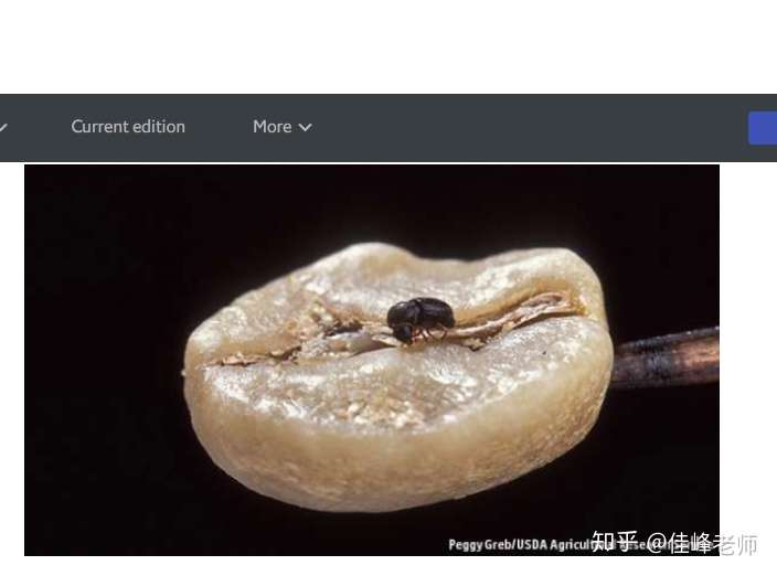 18年12月sat亚太真题阅读原文 自然科学篇 1 知乎