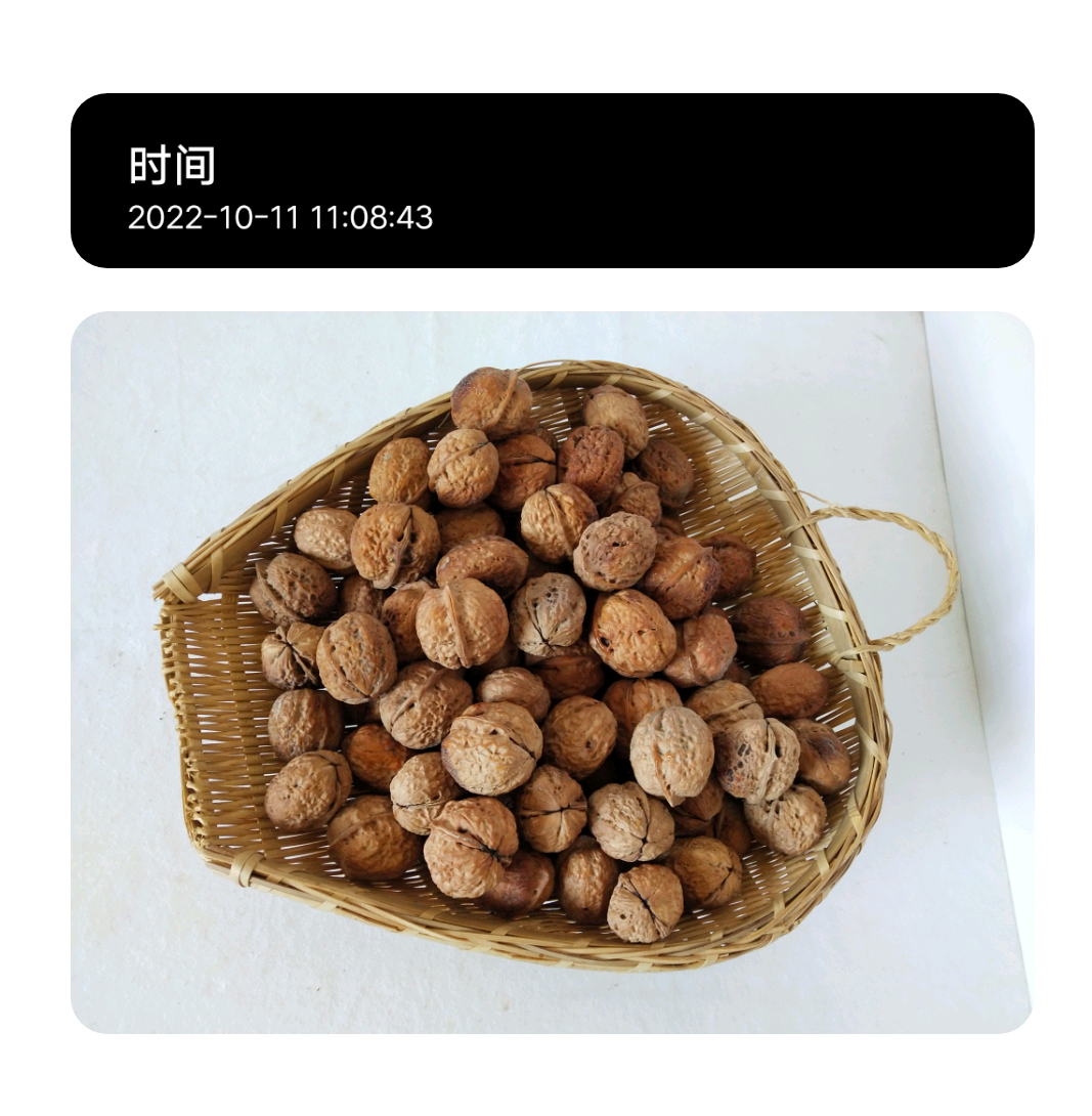 秭归橙子和水果 的想法: 7-5(3)新鲜核桃 3次,早期油脂低些 脆