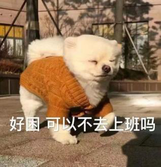 2020-2021年的网络沙雕文案句子搞笑:摩天轮就像个花圈插图51 2020-2021年的网络沙雕文案句子搞笑:摩天轮就像个花圈插图51
