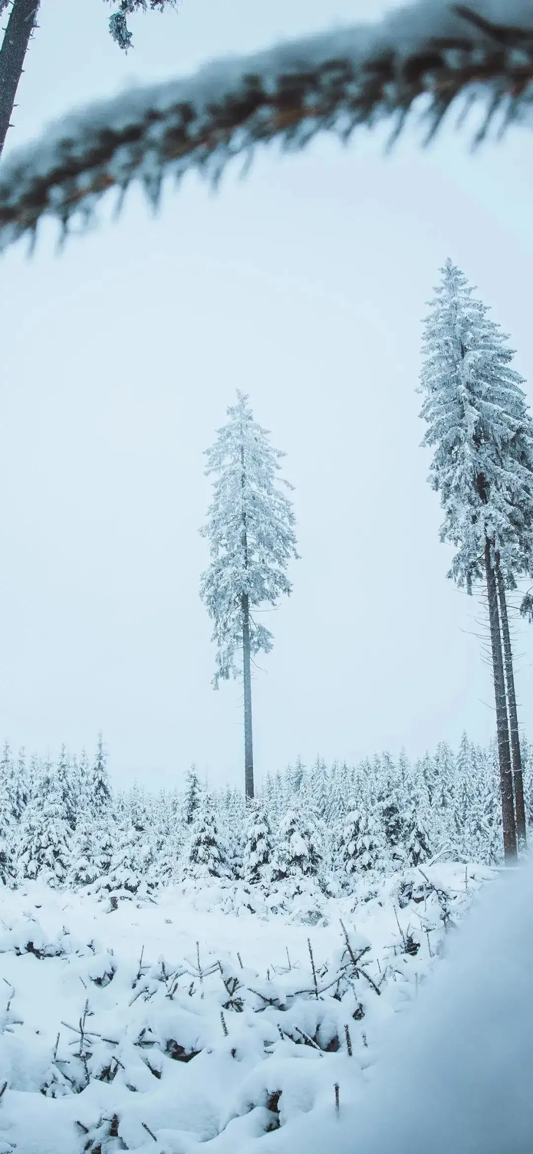 一组超好看的雪景壁纸 知乎