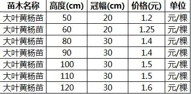 2021年山东大叶黄杨苗价格