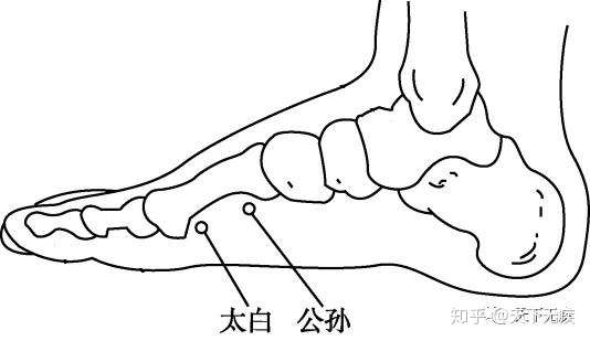 要穴解太白公孙