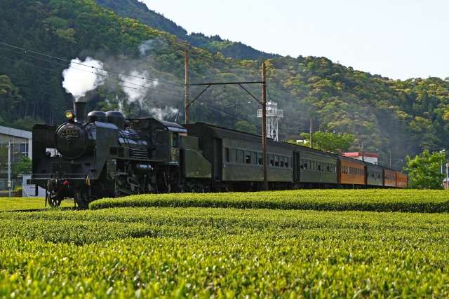 私藏的日本小众旅游线路 静冈县大井川铁道之旅 寸又峡 奥大井湖 知乎