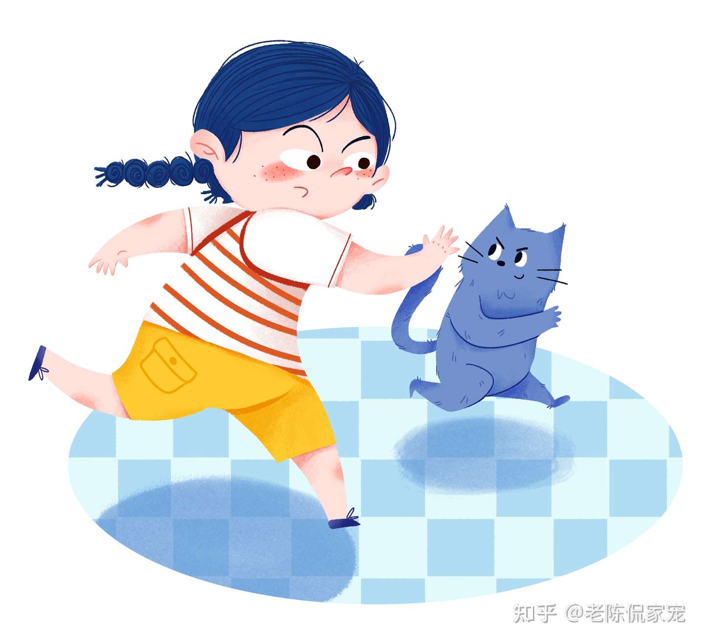 新手养猫需要注意什么 知乎