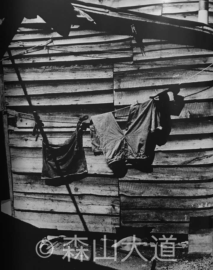 森山大道在粗砺和恣意中更接近的人性13