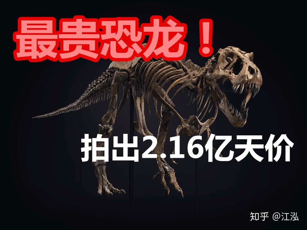 2 16亿元 史上最贵恐龙化石横空出世 知乎