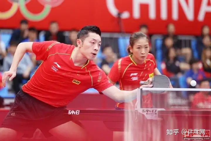 日本女乒教练：中国乒乓这道墙太高（2021日本女乒教练是中国的谁） 第5张