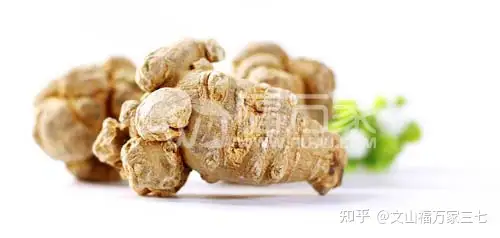 三七怎么挑選能買(mǎi)到效果好的？