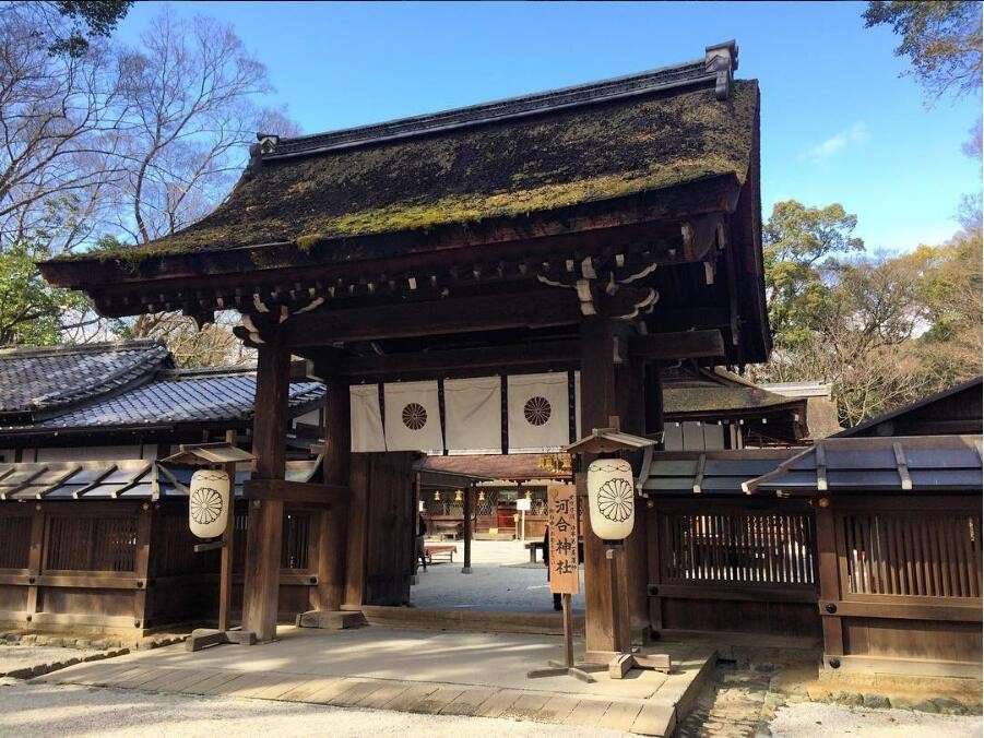 关于日本神社不得不说的羞羞事 知乎