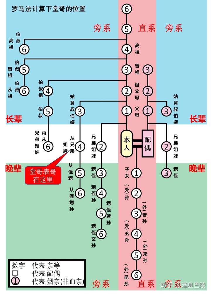 亲兄弟,也就是我太爷爷是我叔叔的爷爷,我们属不属于三代以内旁系血亲