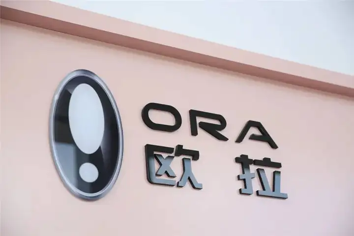 着眼全球和未来，欧拉不只有“她”