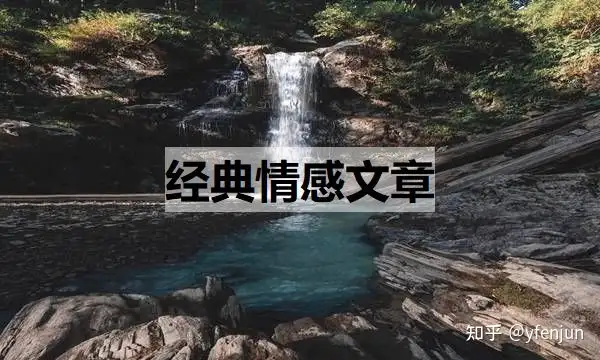 学会了吗（情感文章）情感类的作文八百字 第1张