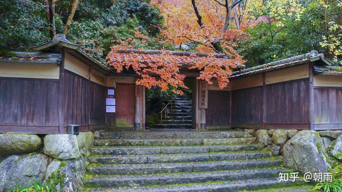 08 京都 瑠璃光院 上 知乎